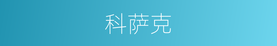 科萨克的同义词