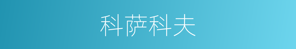 科萨科夫的同义词