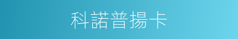 科諾普揚卡的同義詞