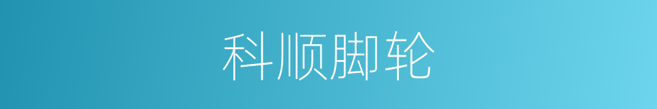 科顺脚轮的同义词