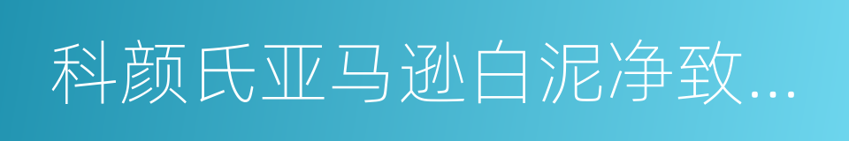 科颜氏亚马逊白泥净致面膜的同义词