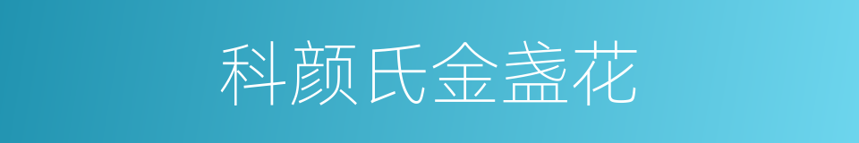 科颜氏金盏花的同义词