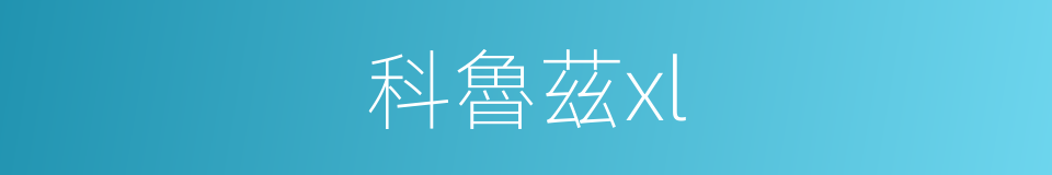 科魯茲xl的同義詞