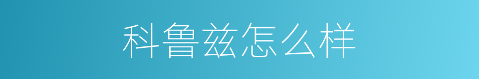 科鲁兹怎么样的同义词