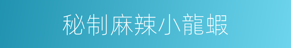 秘制麻辣小龍蝦的同義詞