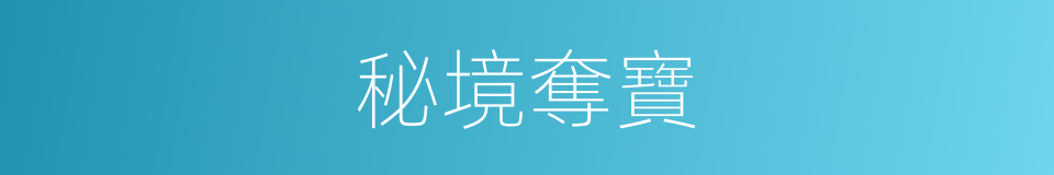 秘境奪寶的同義詞