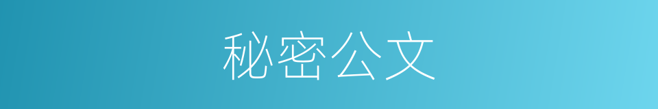 秘密公文的同义词