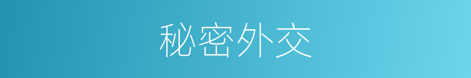 秘密外交的意思