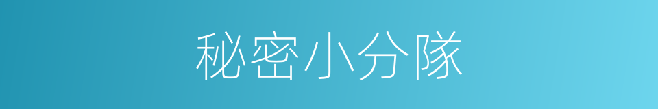 秘密小分隊的同義詞