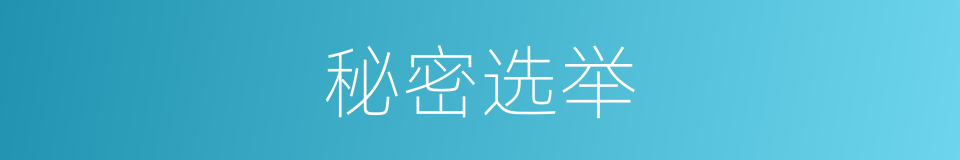 秘密选举的意思