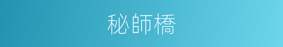 秘師橋的同義詞