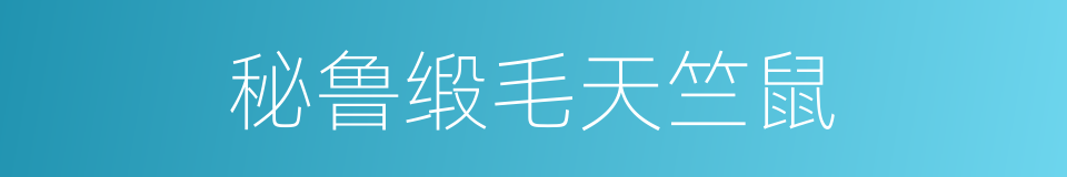 秘鲁缎毛天竺鼠的同义词