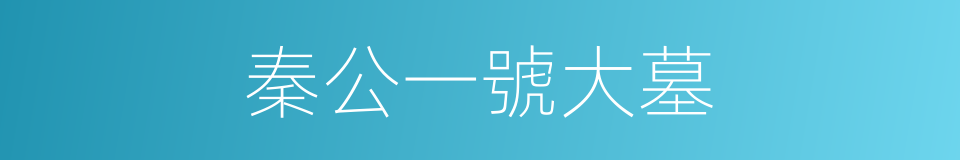 秦公一號大墓的同義詞