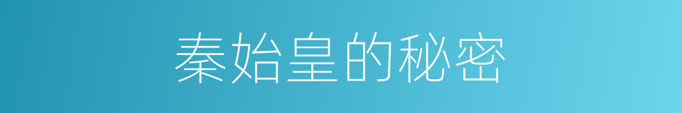 秦始皇的秘密的同义词