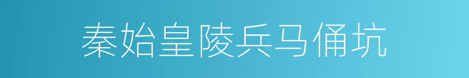 秦始皇陵兵马俑坑的同义词