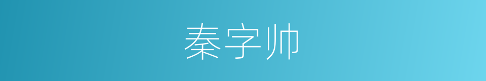 秦字帅的同义词