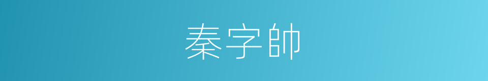 秦字帥的同義詞