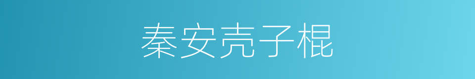 秦安壳子棍的同义词