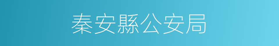 秦安縣公安局的同義詞