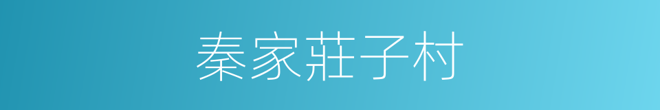 秦家莊子村的同義詞