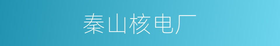 秦山核电厂的同义词
