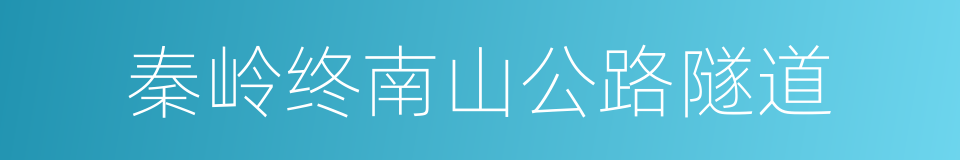 秦岭终南山公路隧道的同义词