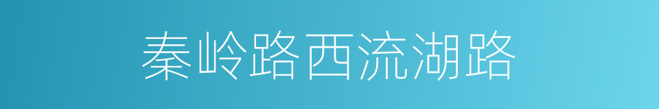 秦岭路西流湖路的同义词