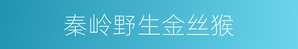 秦岭野生金丝猴的同义词