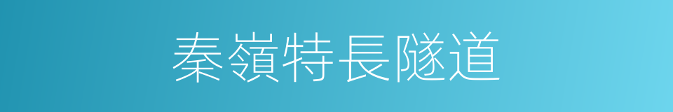 秦嶺特長隧道的同義詞