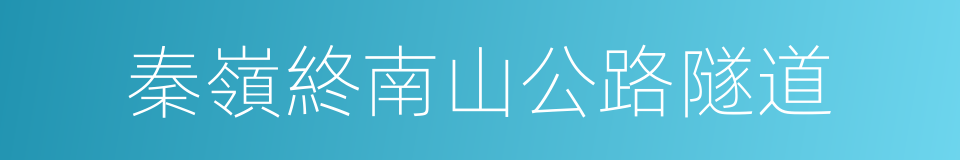 秦嶺終南山公路隧道的同義詞