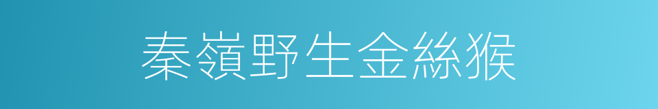 秦嶺野生金絲猴的同義詞