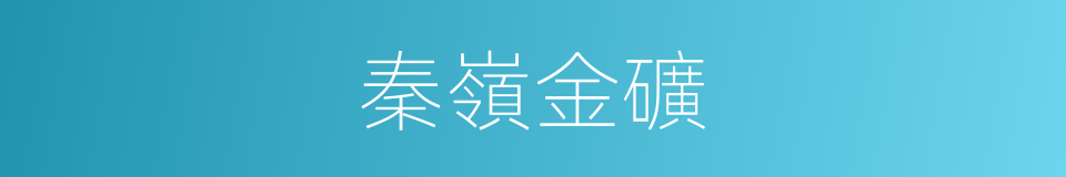 秦嶺金礦的同義詞