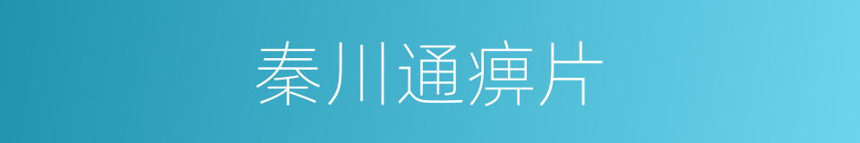 秦川通痹片的同义词