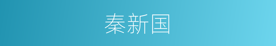 秦新国的同义词