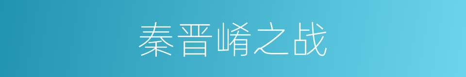 秦晋崤之战的同义词