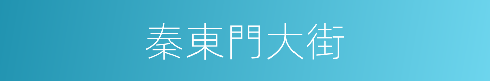 秦東門大街的同義詞