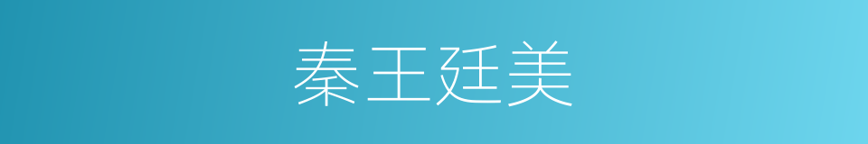 秦王廷美的同义词