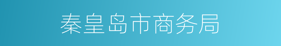 秦皇岛市商务局的同义词