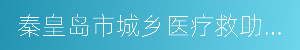 秦皇岛市城乡医疗救助实施办法的同义词