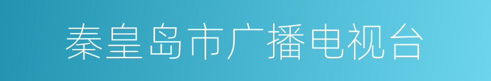 秦皇岛市广播电视台的同义词