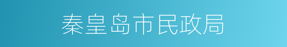 秦皇岛市民政局的同义词