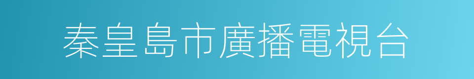 秦皇島市廣播電視台的同義詞