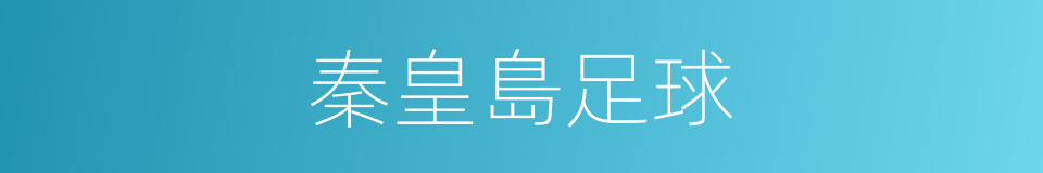秦皇島足球的同義詞
