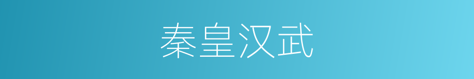 秦皇汉武的意思