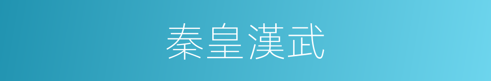 秦皇漢武的意思