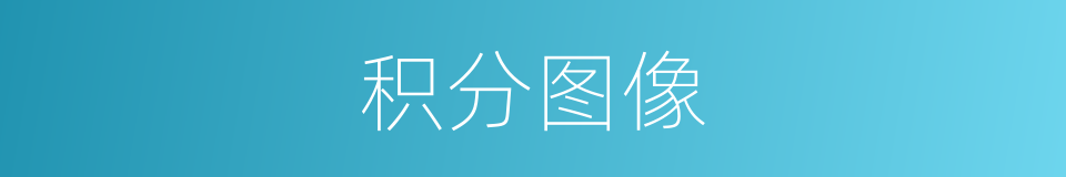 积分图像的同义词