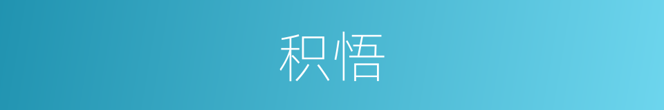 积悟的意思