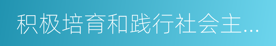 积极培育和践行社会主义核心价值观的同义词