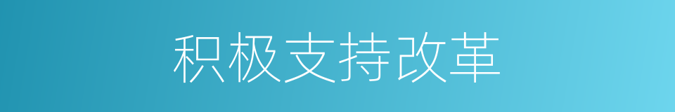 积极支持改革的同义词