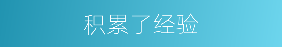 积累了经验的同义词